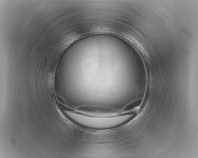 X0000116280849200912141347