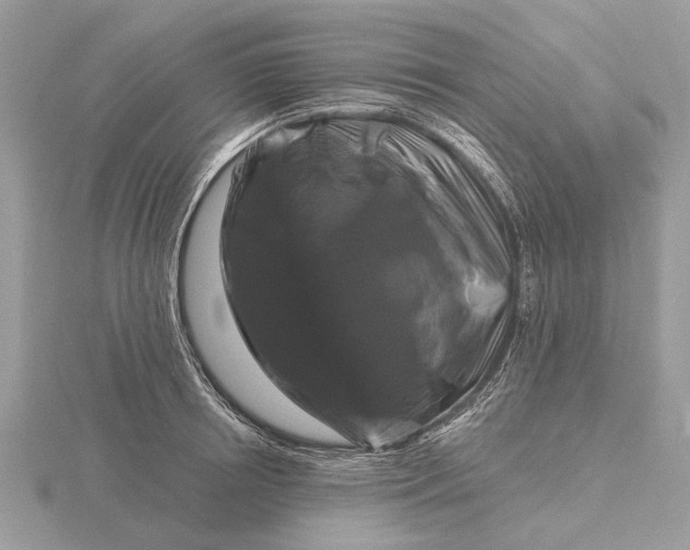 X0000116280850200912141347