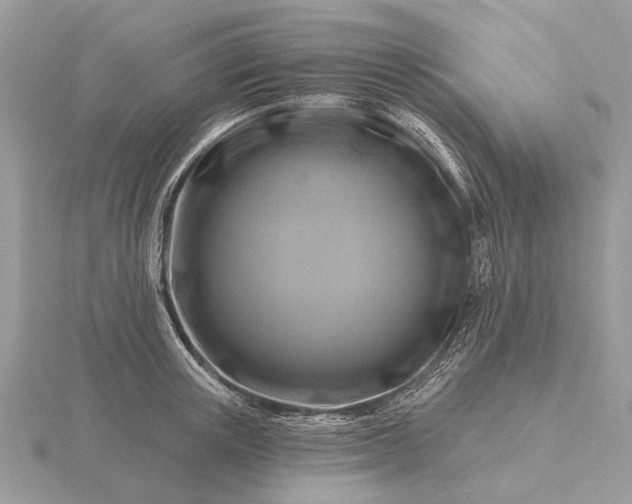 X0000116280851200912141347