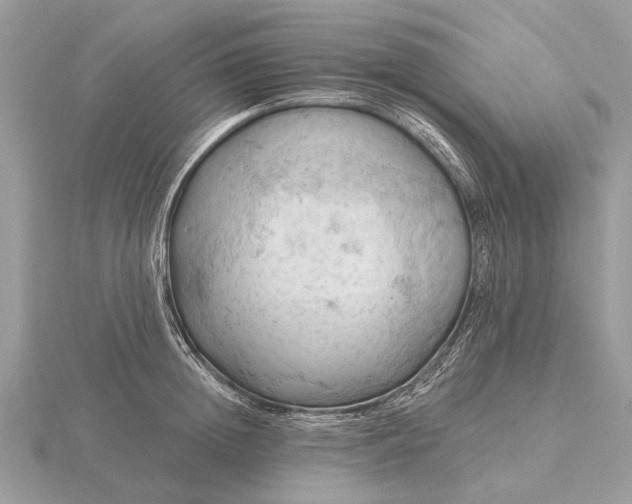 X0000116280852200912141347