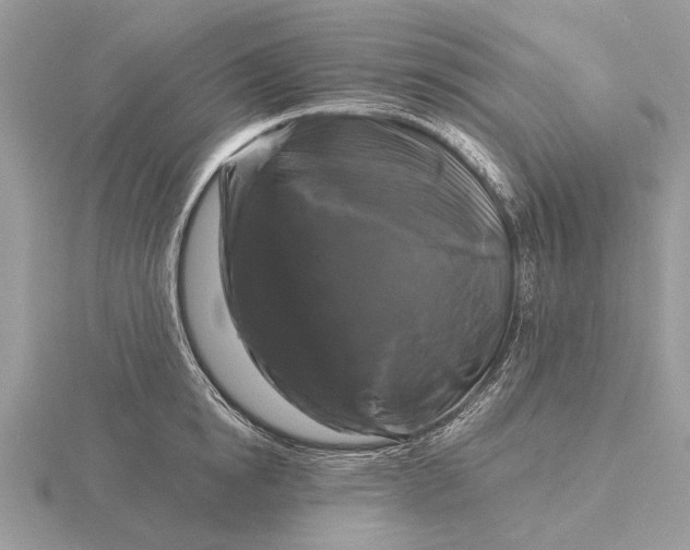 X0000116280854200912141347