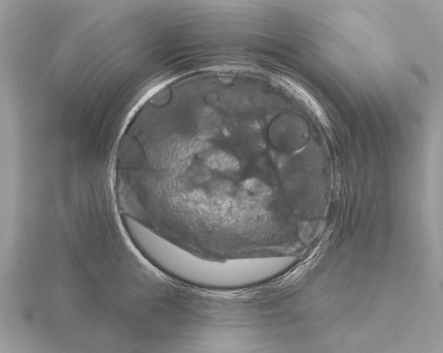 X0000116280855200912141347