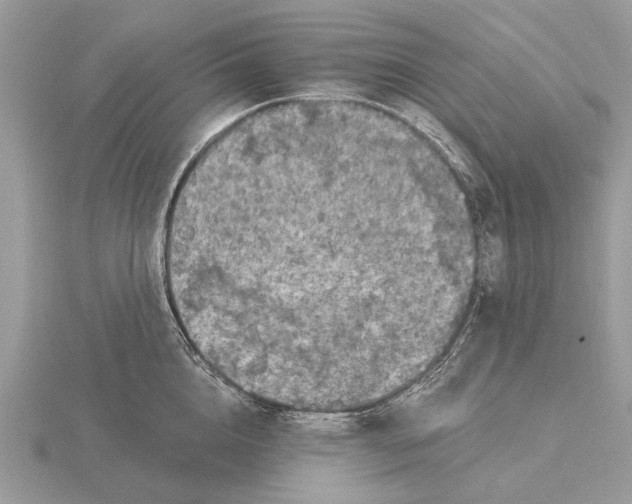 X0000116280856200912141347