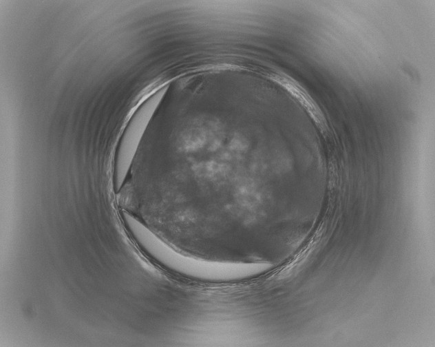 X0000116280858200912141347