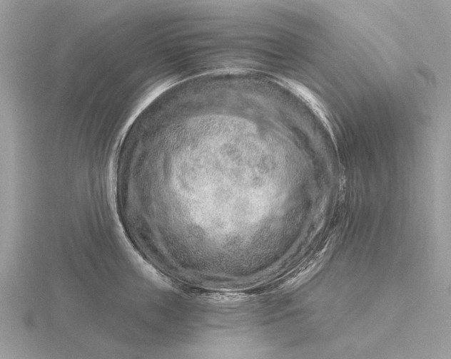 X0000116280859200912141347