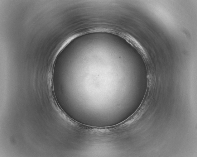 X0000116280860200912141347