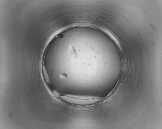 X0000116280861200912141347