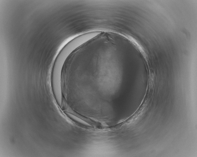 X0000116280862200912141347