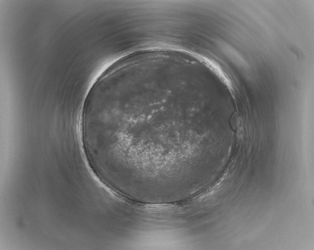 X0000116280863200912141347