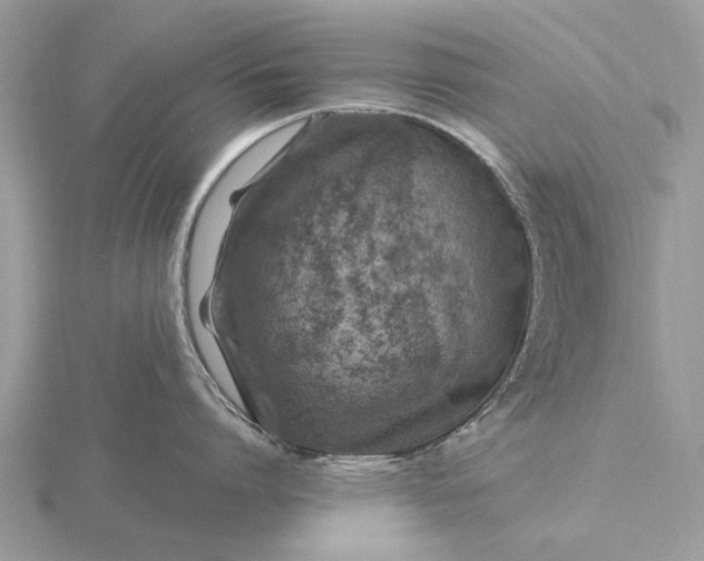 X0000116280864200912141347