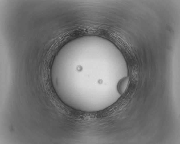 X0000116280865200912141347