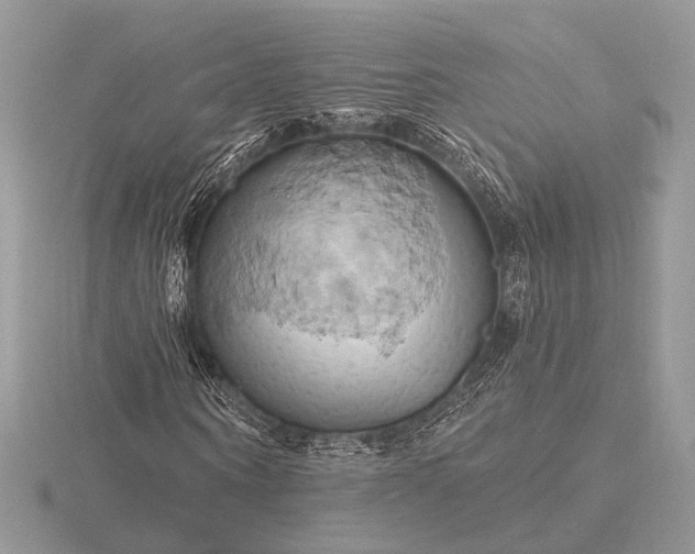 X0000116280866200912141347