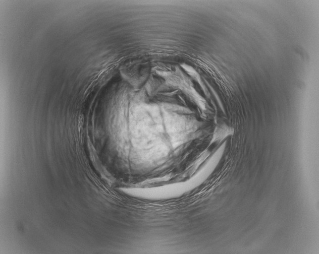 X0000116280867200912141347