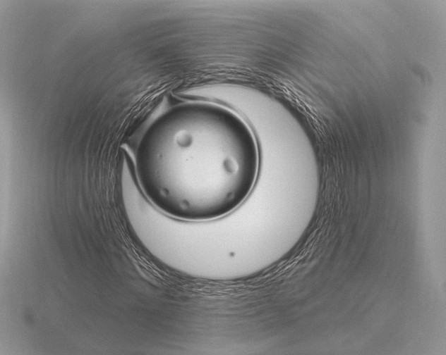 X0000116280868200912141347