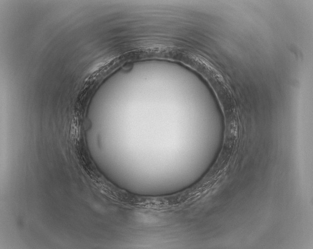 X0000116280869200912141347