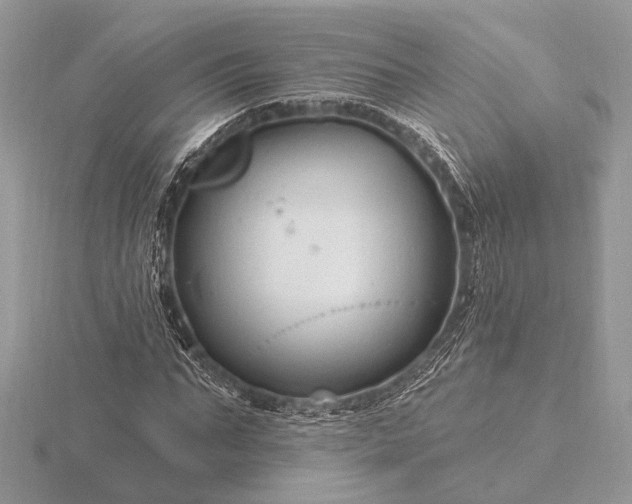 X0000116280871200912141346