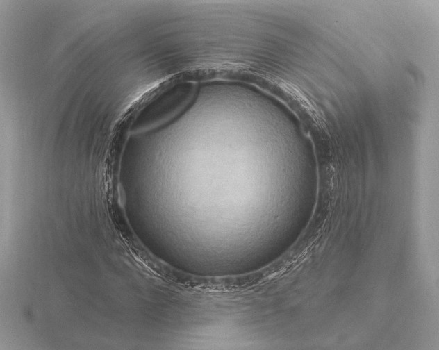 X0000116280872200912141346