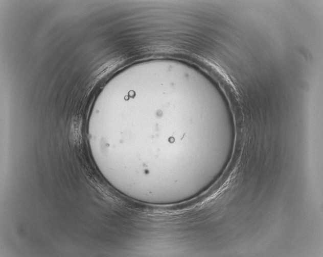 X0000116280873200912141346