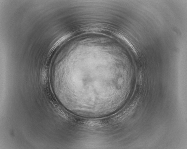 X0000116280874200912141346