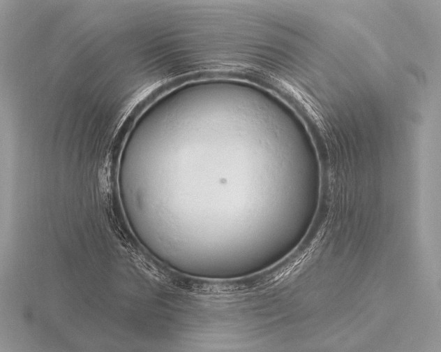 X0000116280875200912141346