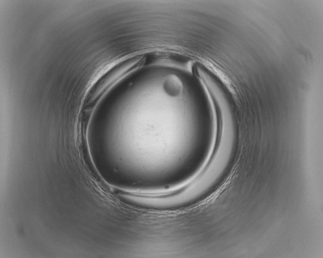 X0000116280877200912141346