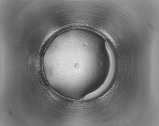 X0000116280878200912141346