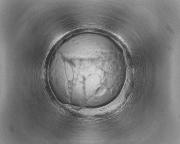 X0000116280879200912141346