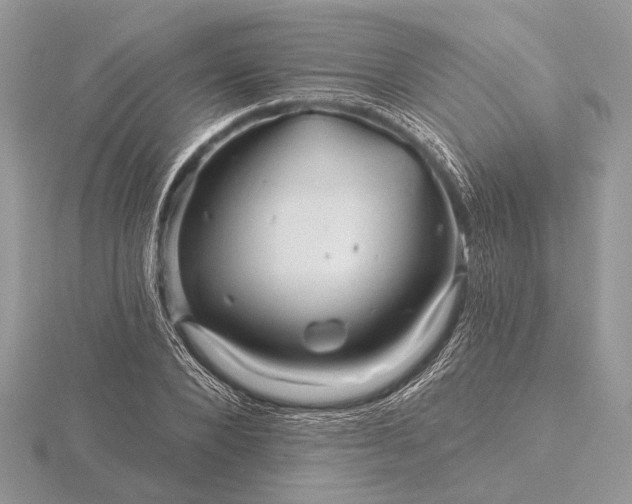 X0000116280880200912141346