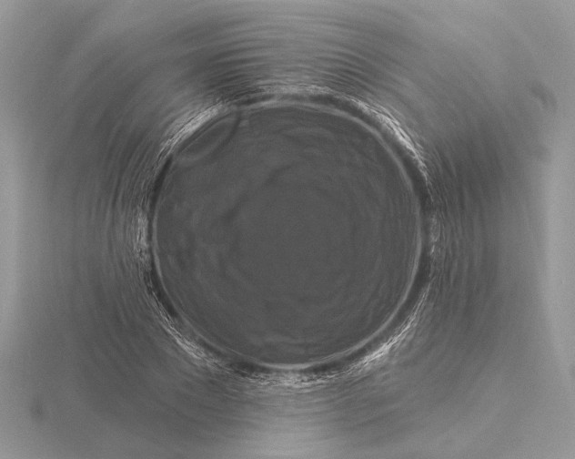 X0000116280881200912141346