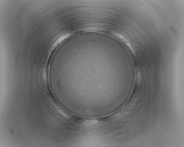 X0000116280882200912141346