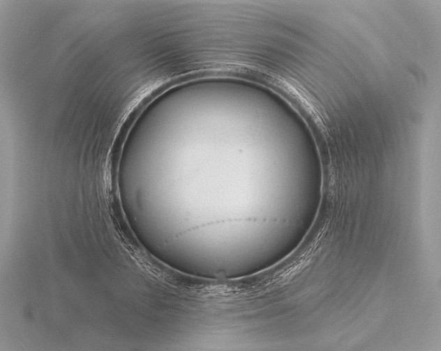 X0000116280883200912141346