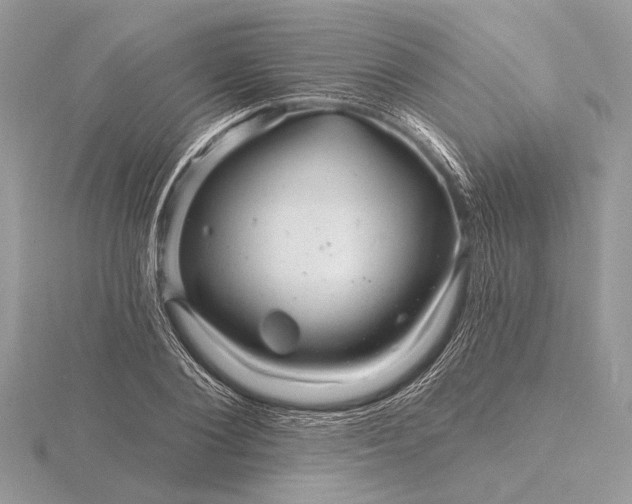 X0000116280884200912141346