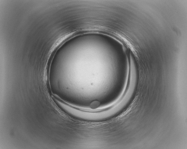 X0000116280885200912141346