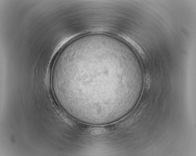 X0000116280886200912141346