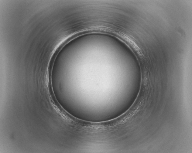 X0000116280888200912141346