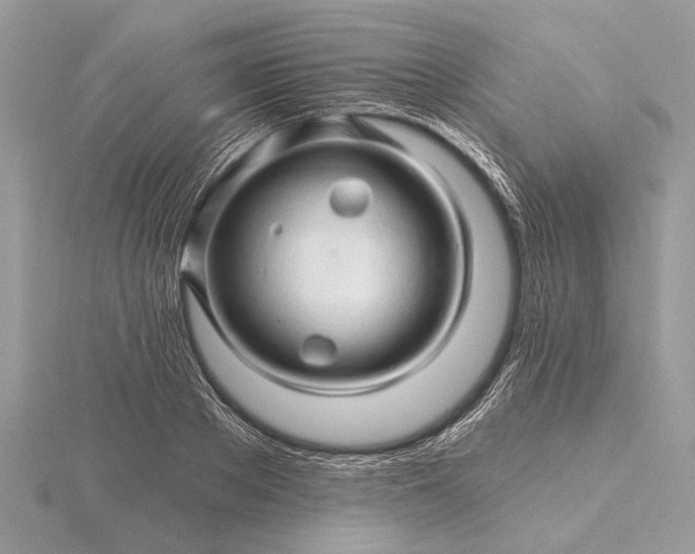 X0000116280889200912141346