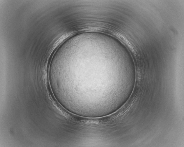 X0000116280890200912141346