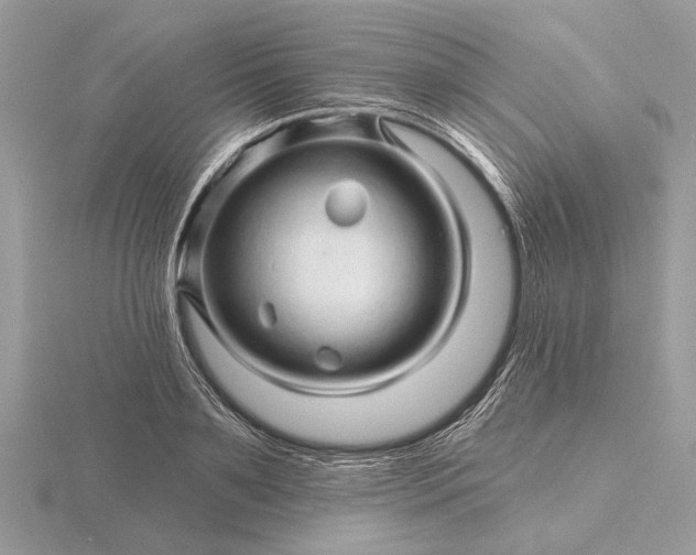 X0000116280891200912141346