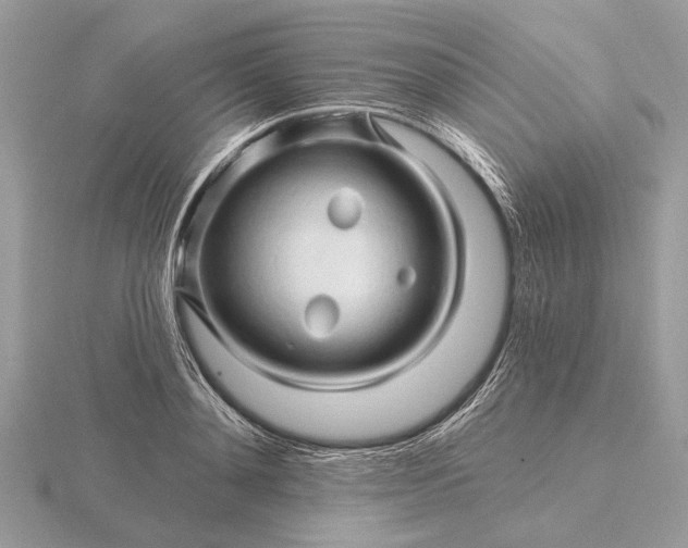 X0000116280892200912141346