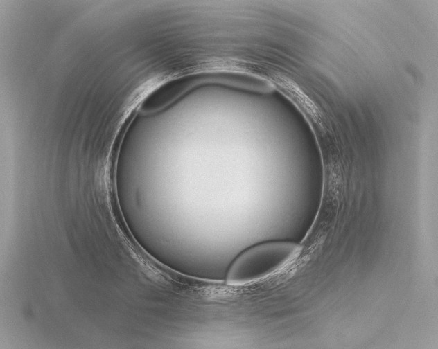 X0000116280893200912141346