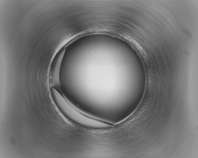 X0000116280894200912141346