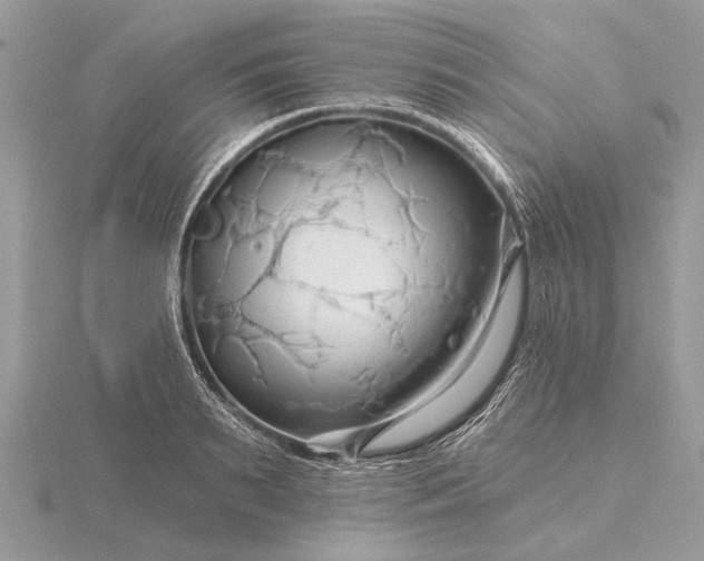 X0000116280895200912141346