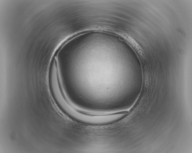 X0000116280896200912141346