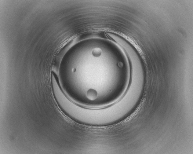 X0000116280897200912141346