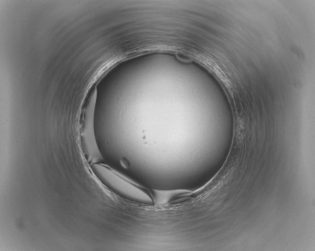 X0000116280898200912141346