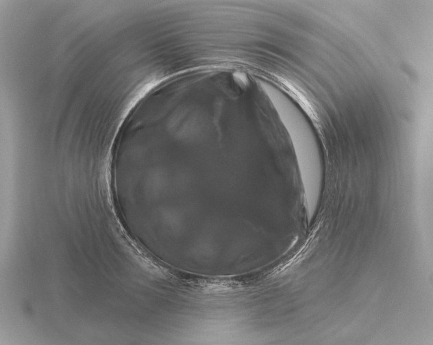 X0000116280899200912141346