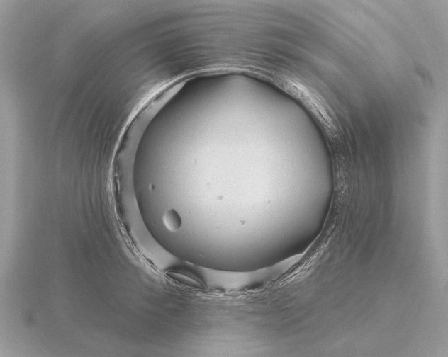 X0000116280900200912141346