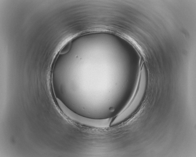 X0000116280901200912141346