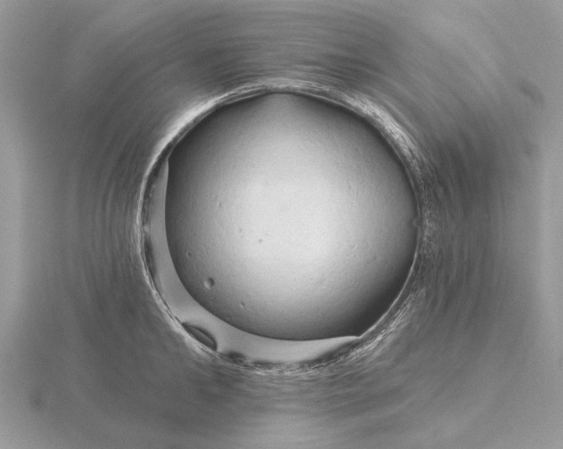 X0000116280902200912141346