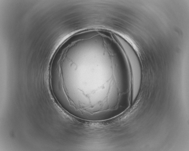 X0000116280903200912141346